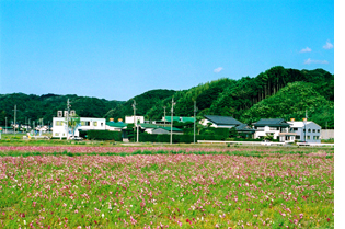 ［茶つくり人 丸池］の概要